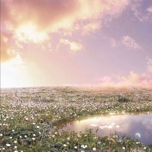 Meet your Posher, Ella